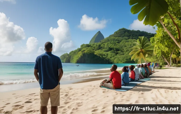 세인트루시아에서 불법 행위 사례 관련 이미지 1