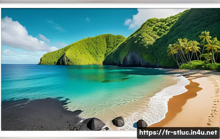 세인트루시아와 카리브해 다른 나라 비교 관련 이미지 2